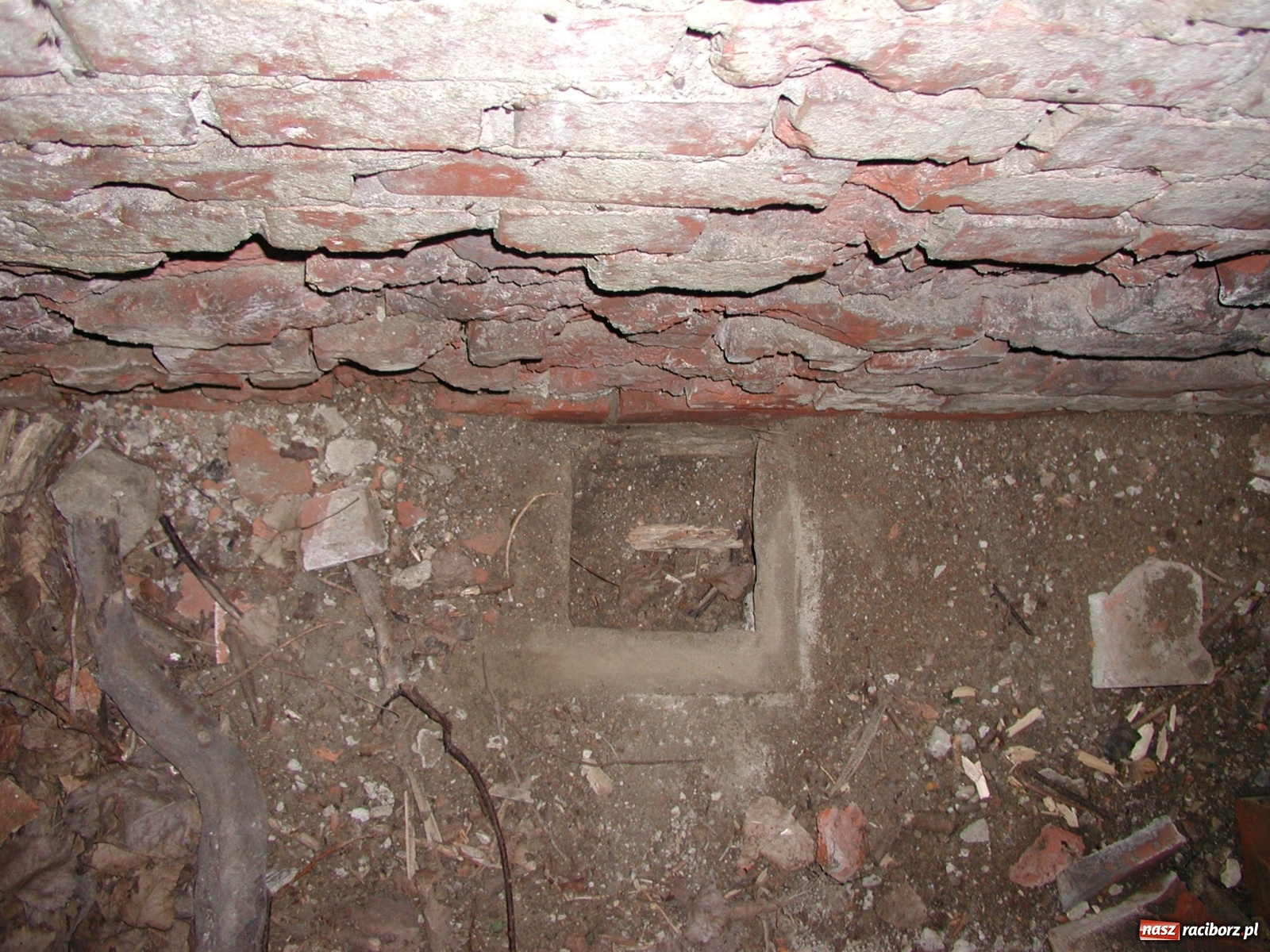 Zdjęcie w galerii na portalu naszraciborz.pl: Arboretum szykuje nową atrakcję dla zwiedzających wiadomości z regionu