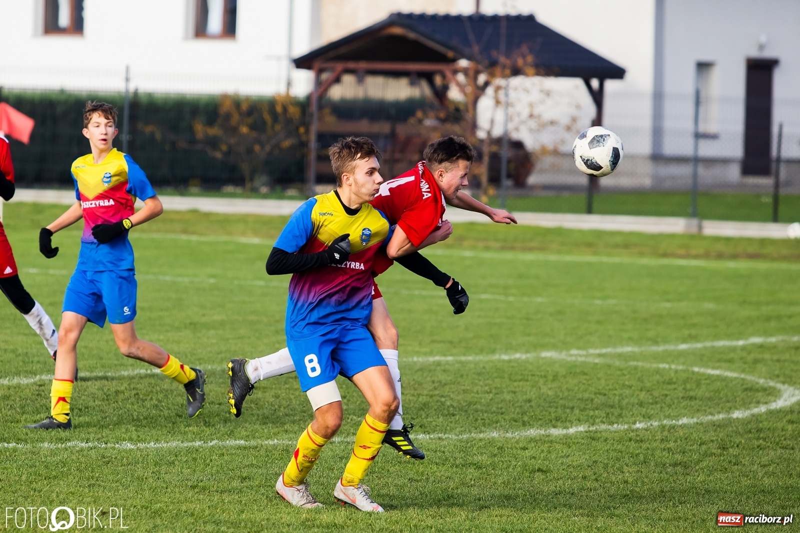 Zdjęcie w galerii na portalu naszraciborz.pl: Osiem goli przy Urbana. Komplet punktów na koncie Przyszłości [FOTO] wiadomości z regionu