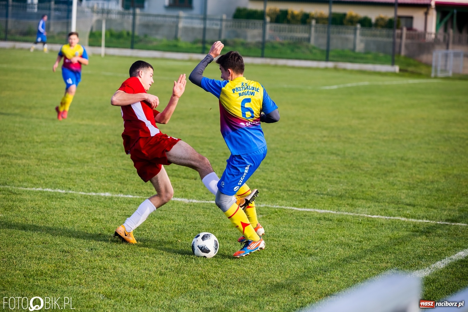 Zdjęcie w galerii na portalu naszraciborz.pl: Osiem goli przy Urbana. Komplet punktów na koncie Przyszłości [FOTO] wiadomości z regionu