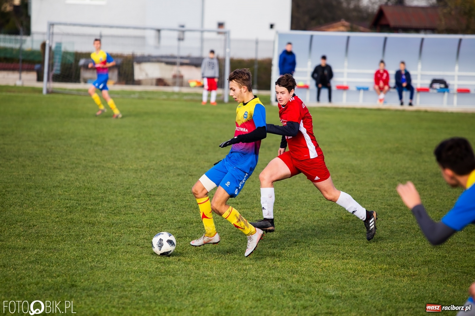 Zdjęcie w galerii na portalu naszraciborz.pl: Osiem goli przy Urbana. Komplet punktów na koncie Przyszłości [FOTO] wiadomości z regionu