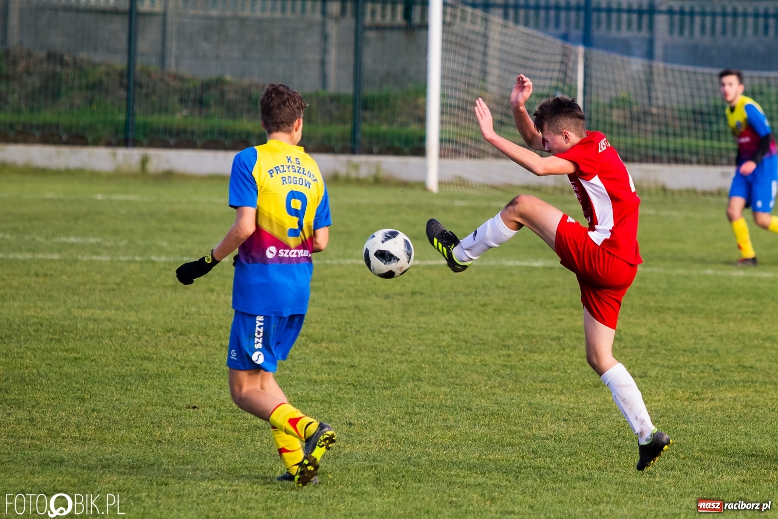 Zdjęcie w galerii na portalu naszraciborz.pl: Osiem goli przy Urbana. Komplet punktów na koncie Przyszłości [FOTO] wiadomości z regionu