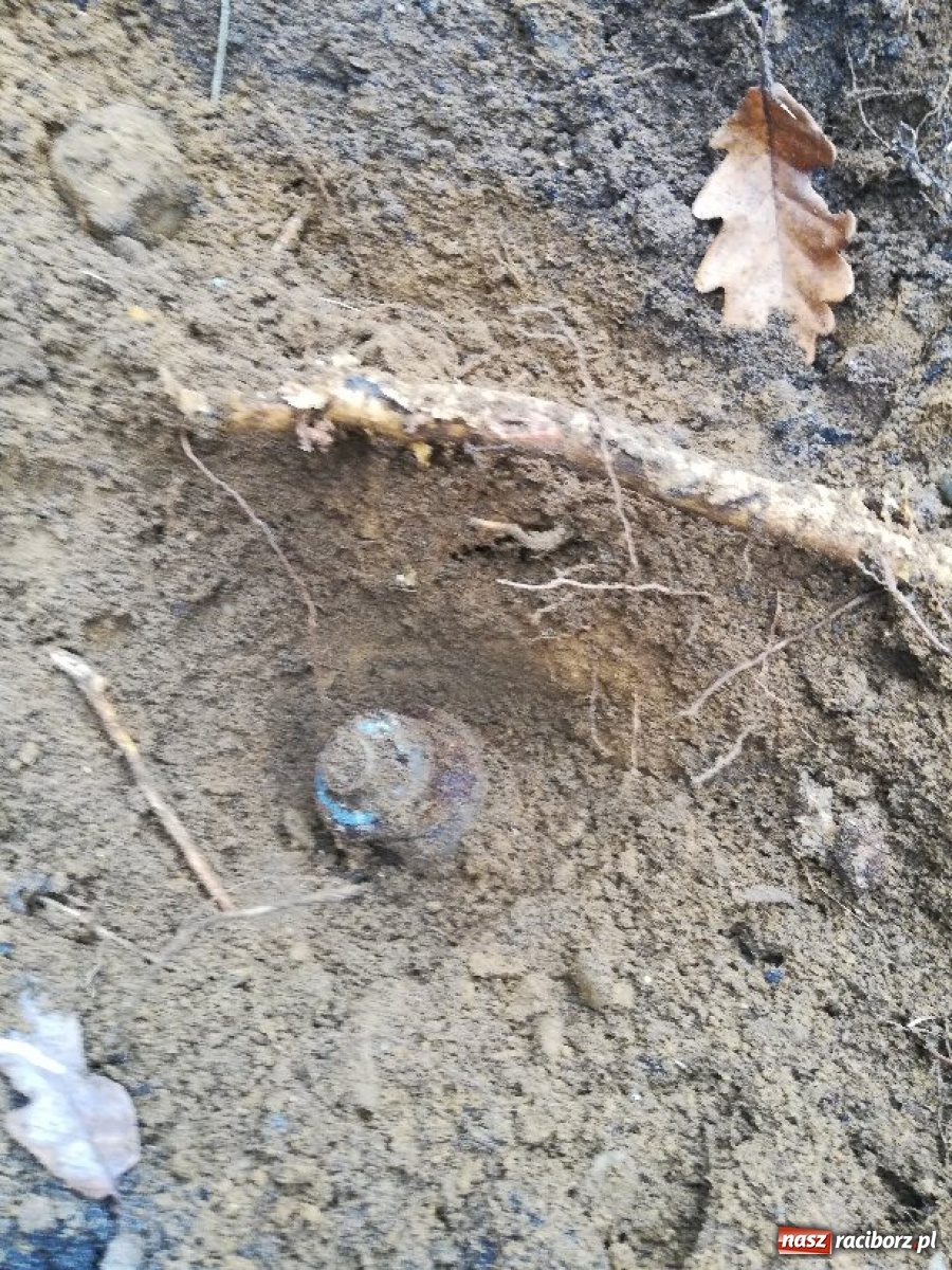 Zdjęcie w galerii na portalu naszraciborz.pl: Groźne znalezisko w lesie koło Nędzy  wiadomości z regionu