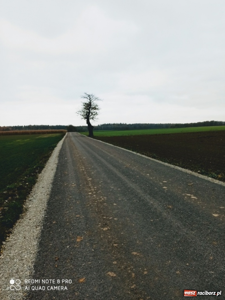 Zdjęcie w galerii na portalu naszraciborz.pl: Scalania gruntów w Gminie Pietrowice Wielkie ciąg dalszy wiadomości z regionu