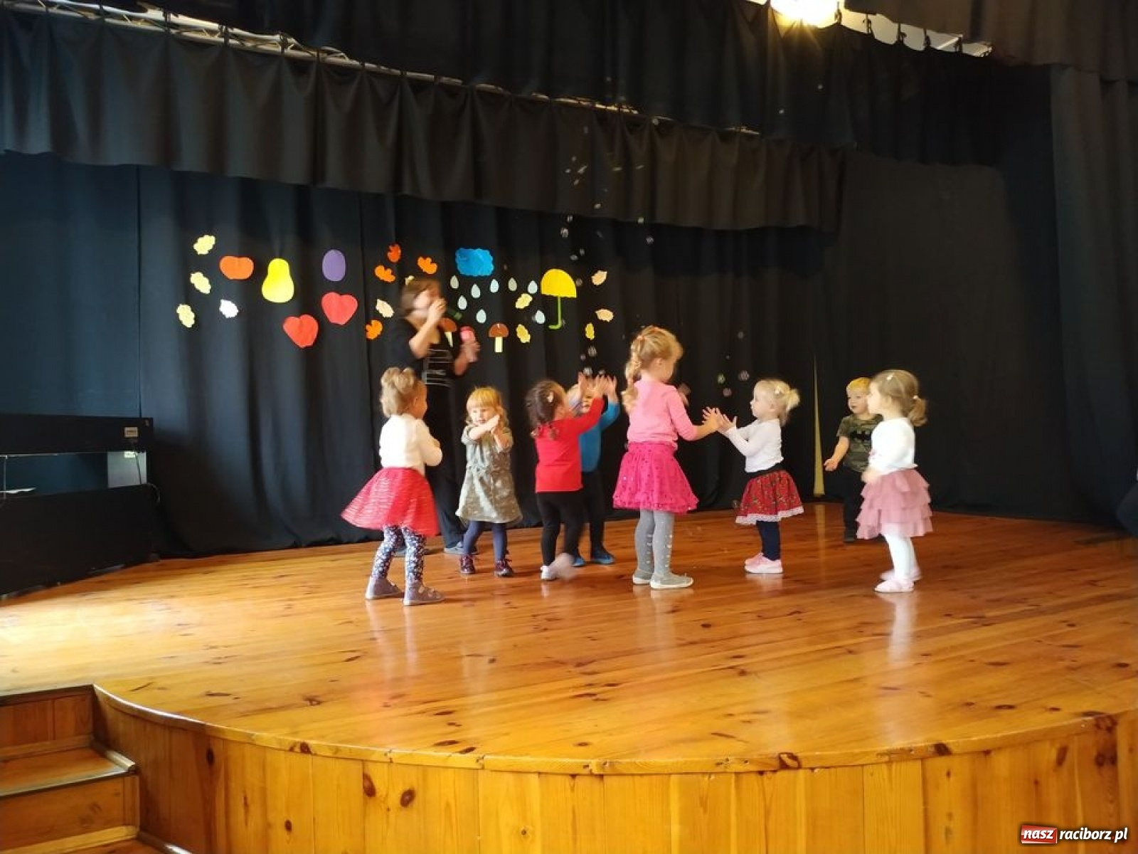 Zdjęcie w galerii na portalu naszraciborz.pl: Fikusie wspominają jesienne występy  wiadomości z regionu