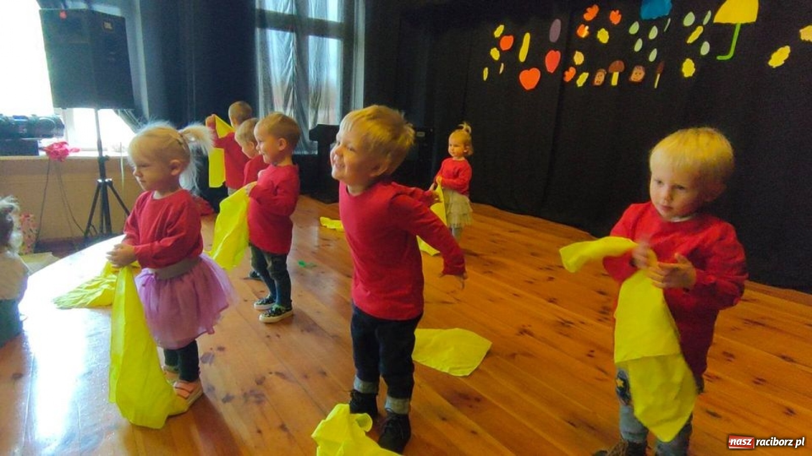 Zdjęcie w galerii na portalu naszraciborz.pl: Fikusie wspominają jesienne występy  wiadomości z regionu