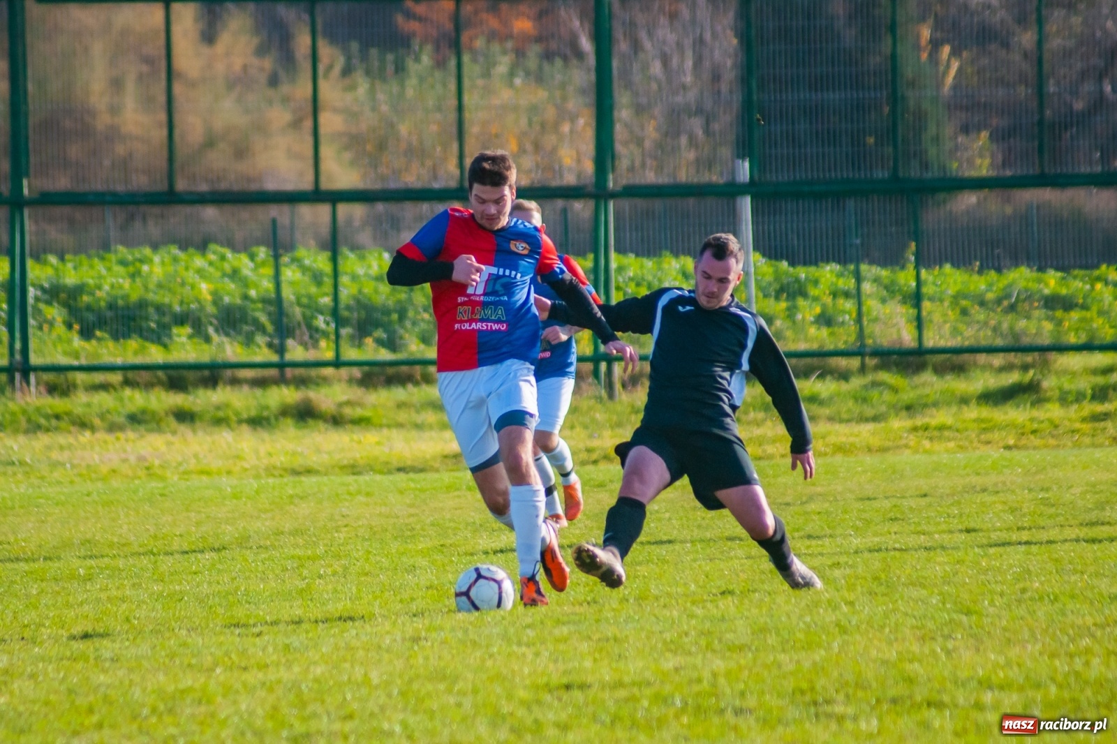 Zdjęcie w galerii na portalu naszraciborz.pl: Wystarczyło kilka minut. Szola katem Brzezia [FOTO i WIDEO] wiadomości z regionu