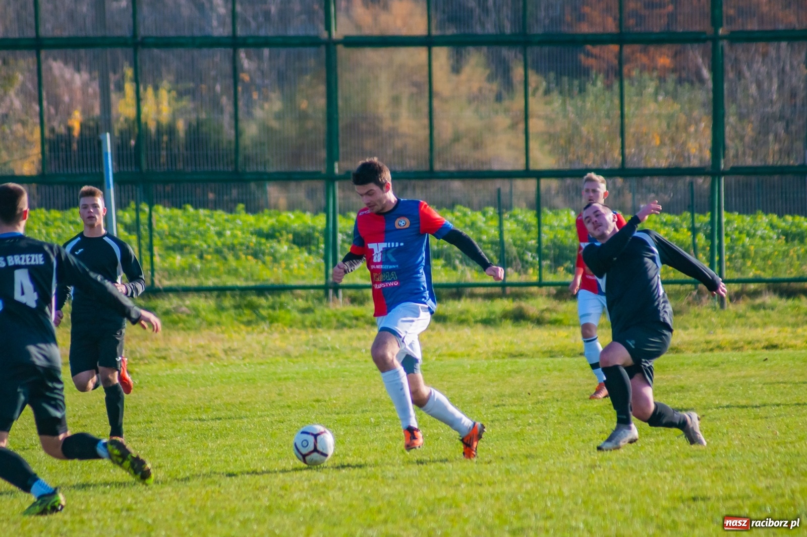 Zdjęcie w galerii na portalu naszraciborz.pl: Wystarczyło kilka minut. Szola katem Brzezia [FOTO i WIDEO] wiadomości z regionu