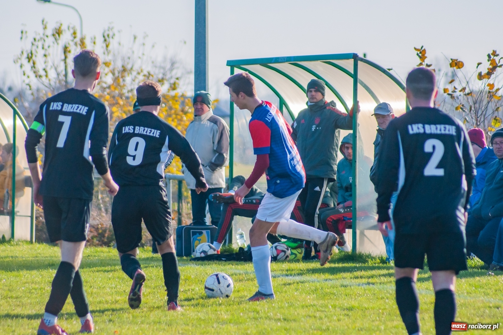 Zdjęcie w galerii na portalu naszraciborz.pl: Wystarczyło kilka minut. Szola katem Brzezia [FOTO i WIDEO] wiadomości z regionu