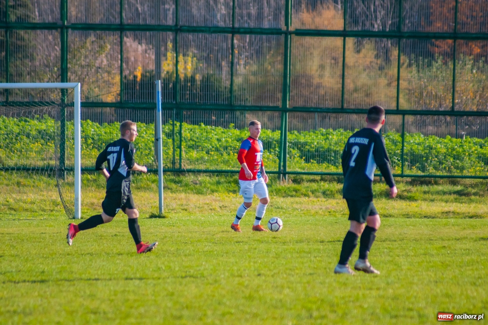 Zdjęcie w galerii na portalu naszraciborz.pl: Wystarczyło kilka minut. Szola katem Brzezia [FOTO i WIDEO] wiadomości z regionu
