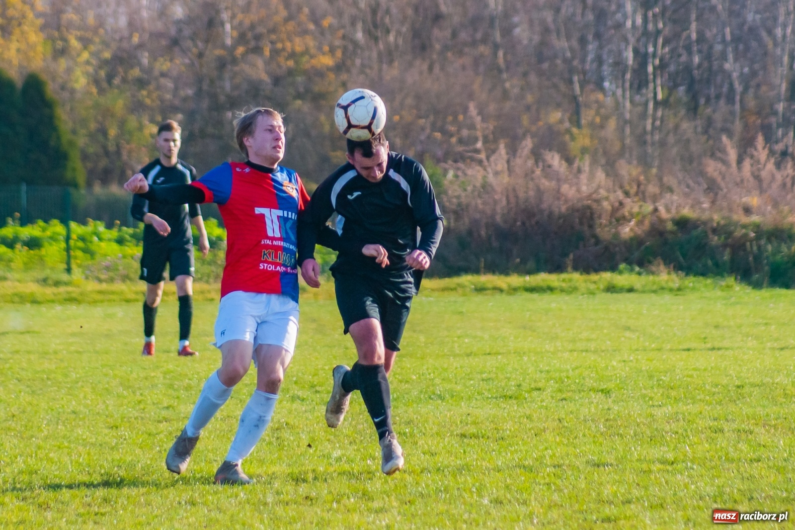 Zdjęcie w galerii na portalu naszraciborz.pl: Wystarczyło kilka minut. Szola katem Brzezia [FOTO i WIDEO] wiadomości z regionu