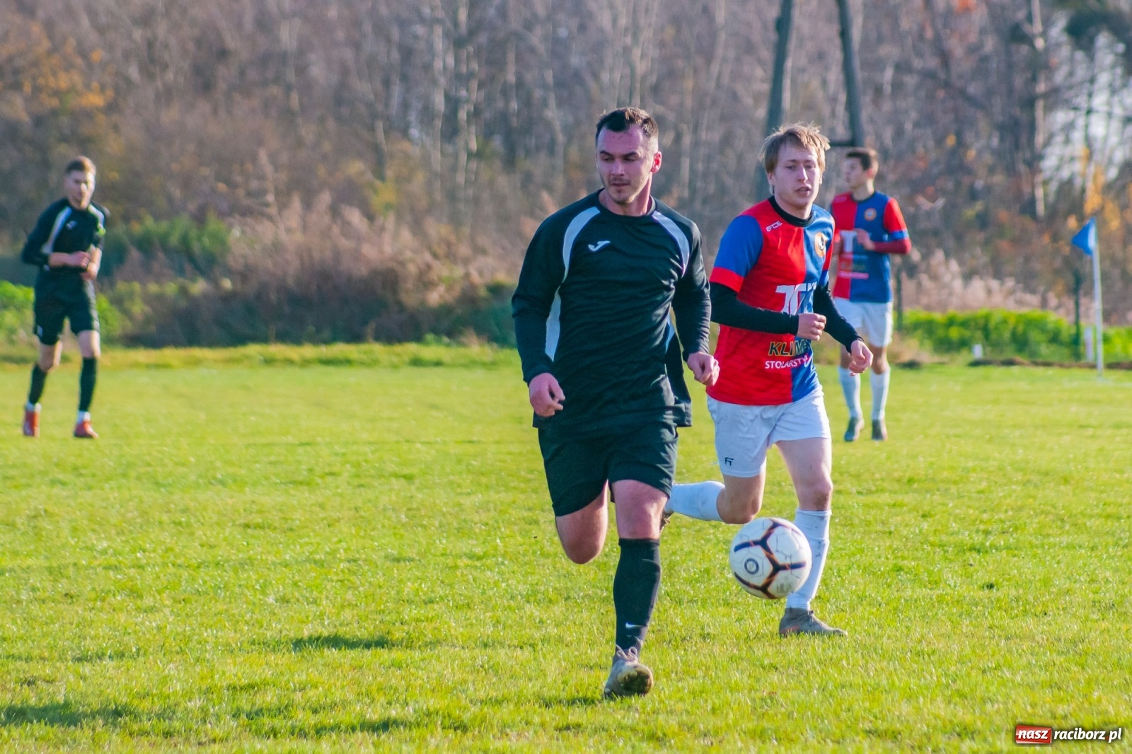 Zdjęcie w galerii na portalu naszraciborz.pl: Wystarczyło kilka minut. Szola katem Brzezia [FOTO i WIDEO] wiadomości z regionu