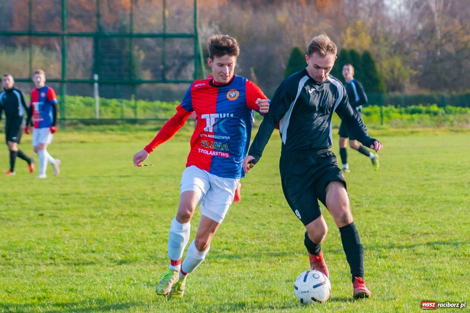 Zdjęcie w galerii na portalu naszraciborz.pl: Wystarczyło kilka minut. Szola katem Brzezia [FOTO i WIDEO] wiadomości z regionu