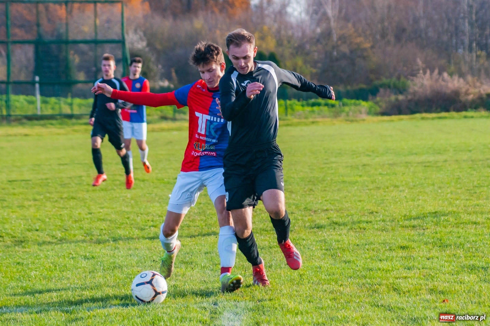 Zdjęcie w galerii na portalu naszraciborz.pl: Wystarczyło kilka minut. Szola katem Brzezia [FOTO i WIDEO] wiadomości z regionu