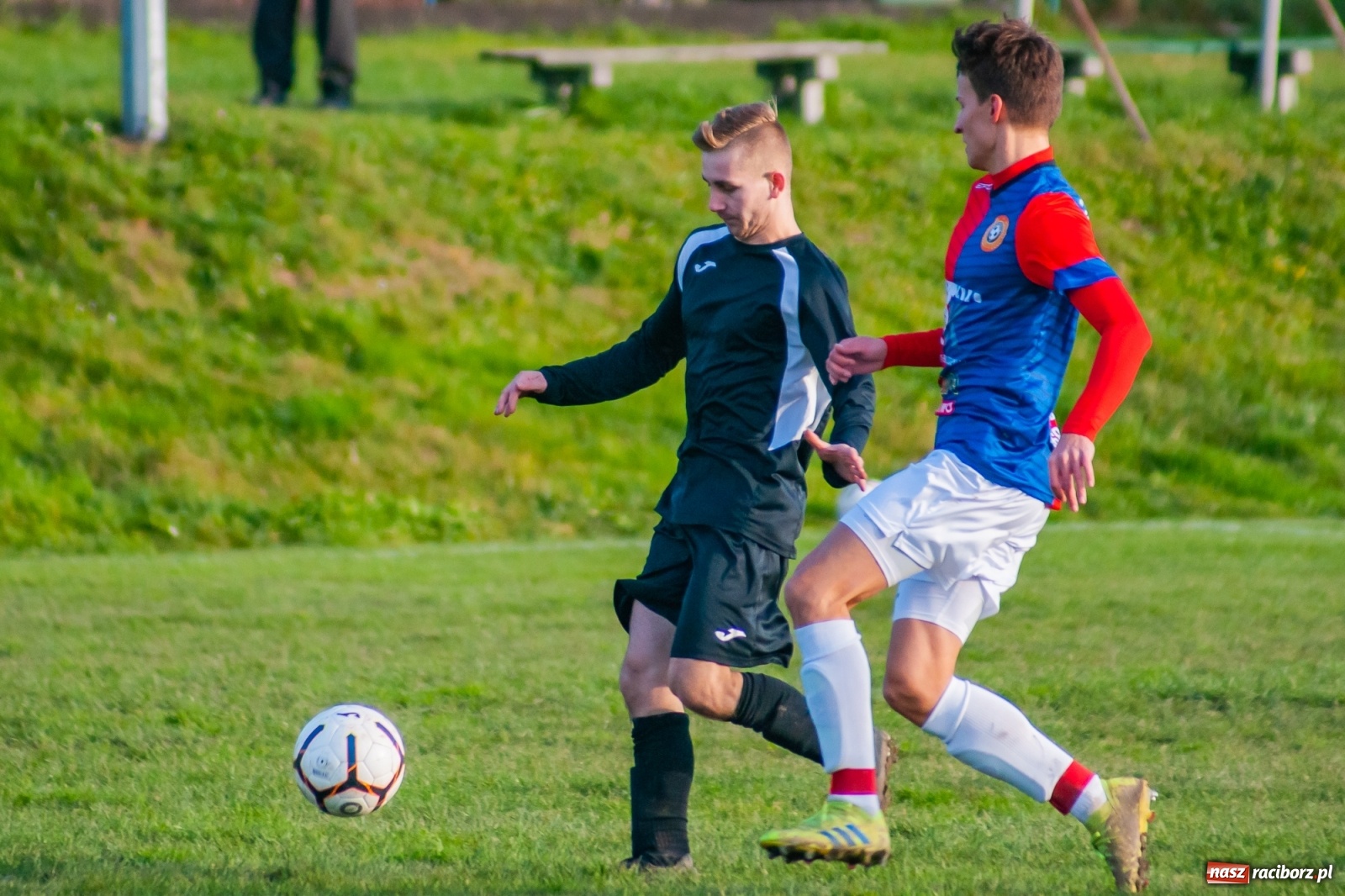 Zdjęcie w galerii na portalu naszraciborz.pl: Wystarczyło kilka minut. Szola katem Brzezia [FOTO i WIDEO] wiadomości z regionu