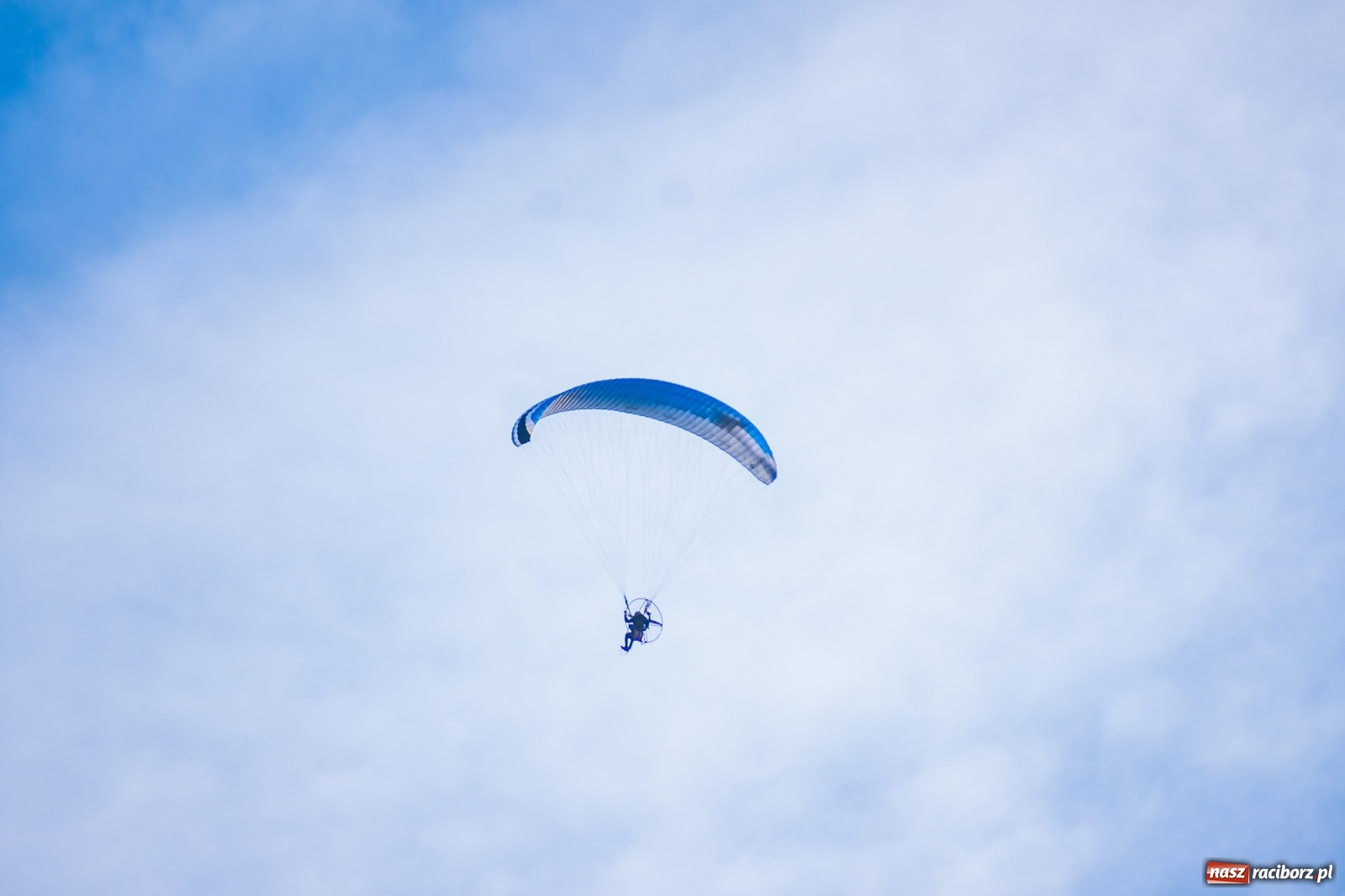 Zdjęcie w galerii na portalu naszraciborz.pl: Wystarczyło kilka minut. Szola katem Brzezia [FOTO i WIDEO] wiadomości z regionu