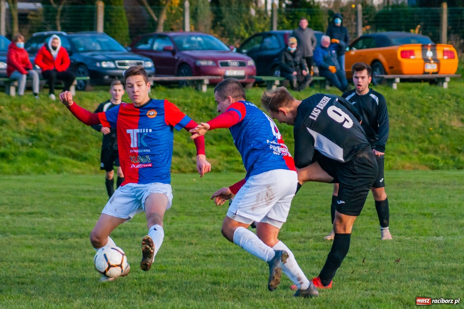 Zdjęcie w galerii na portalu naszraciborz.pl: Wystarczyło kilka minut. Szola katem Brzezia [FOTO i WIDEO] wiadomości z regionu