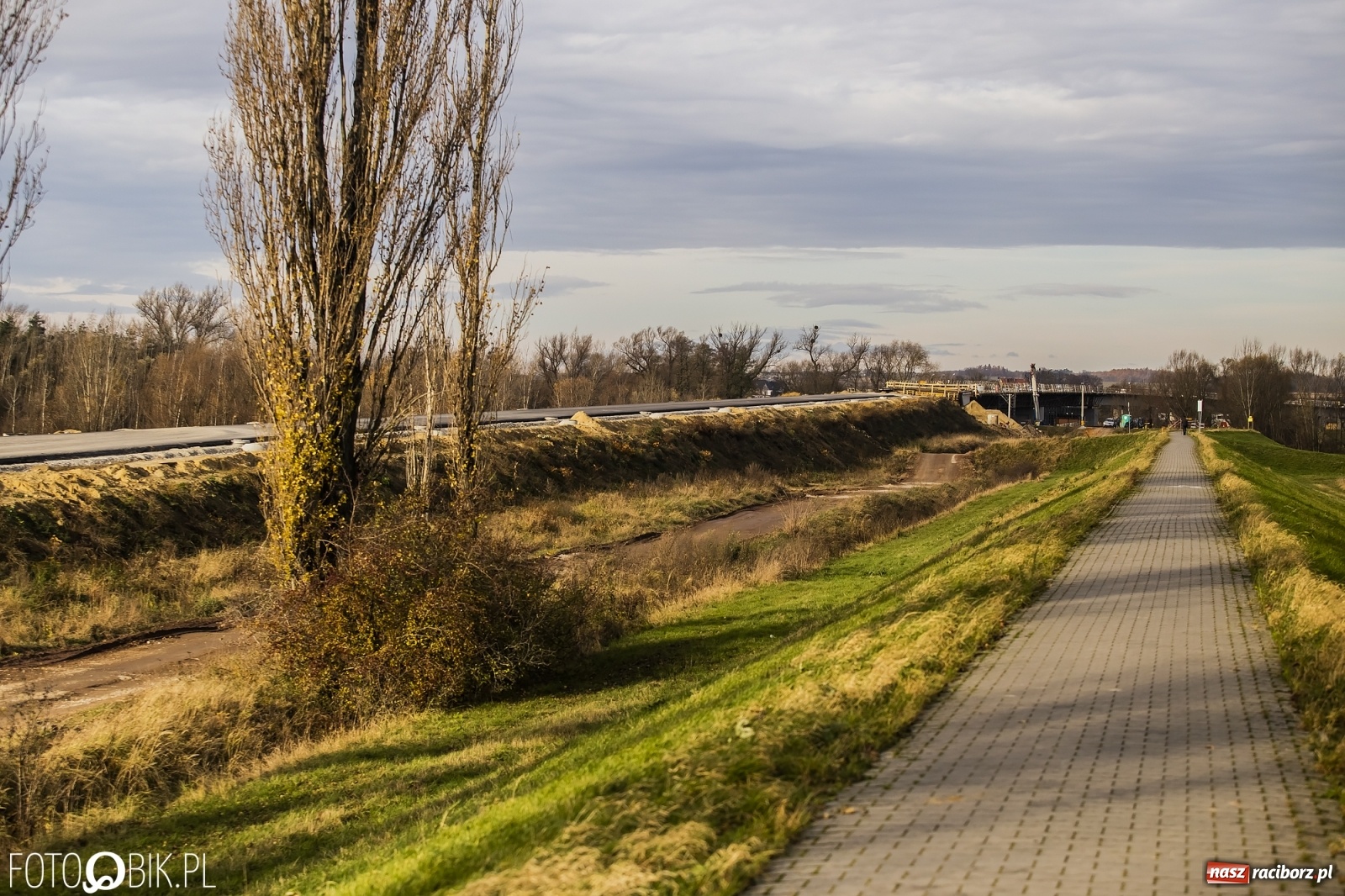 Zdjęcie w galerii na portalu naszraciborz.pl: Nowy most w Raciborzu gotowy. Betonowanie ósmego przęsła zakończone! wiadomości z regionu
