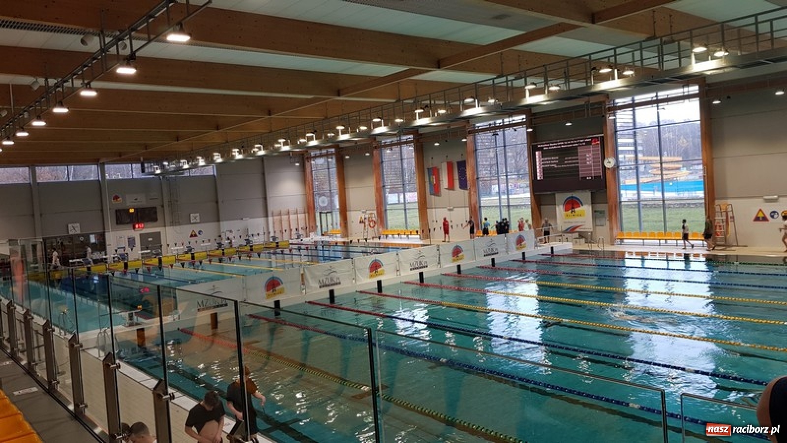 Zdjęcie w galerii na portalu naszraciborz.pl: Pływacy w natarciu. 50 medali na Śląsku  wiadomości z regionu