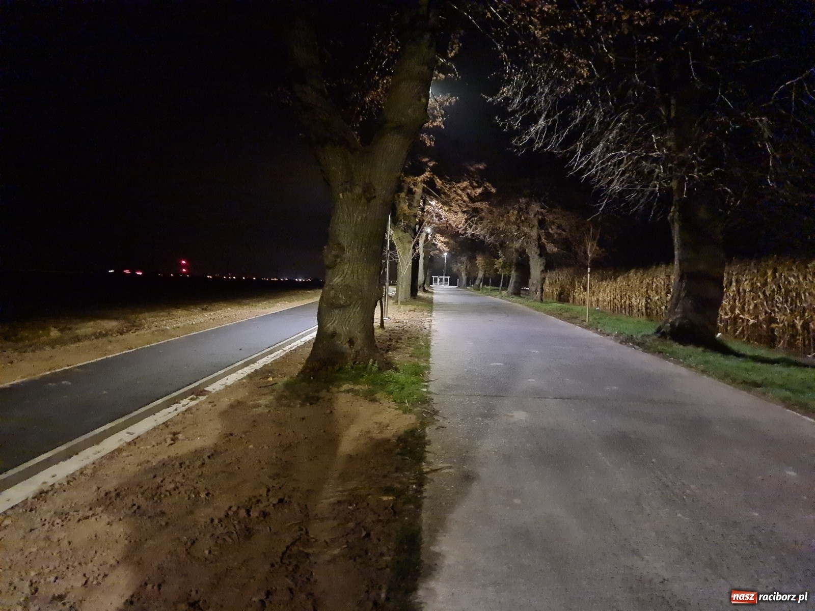 Zdjęcie w galerii na portalu naszraciborz.pl: Nowy chodnik w Nowej Wiosce  wiadomości z regionu