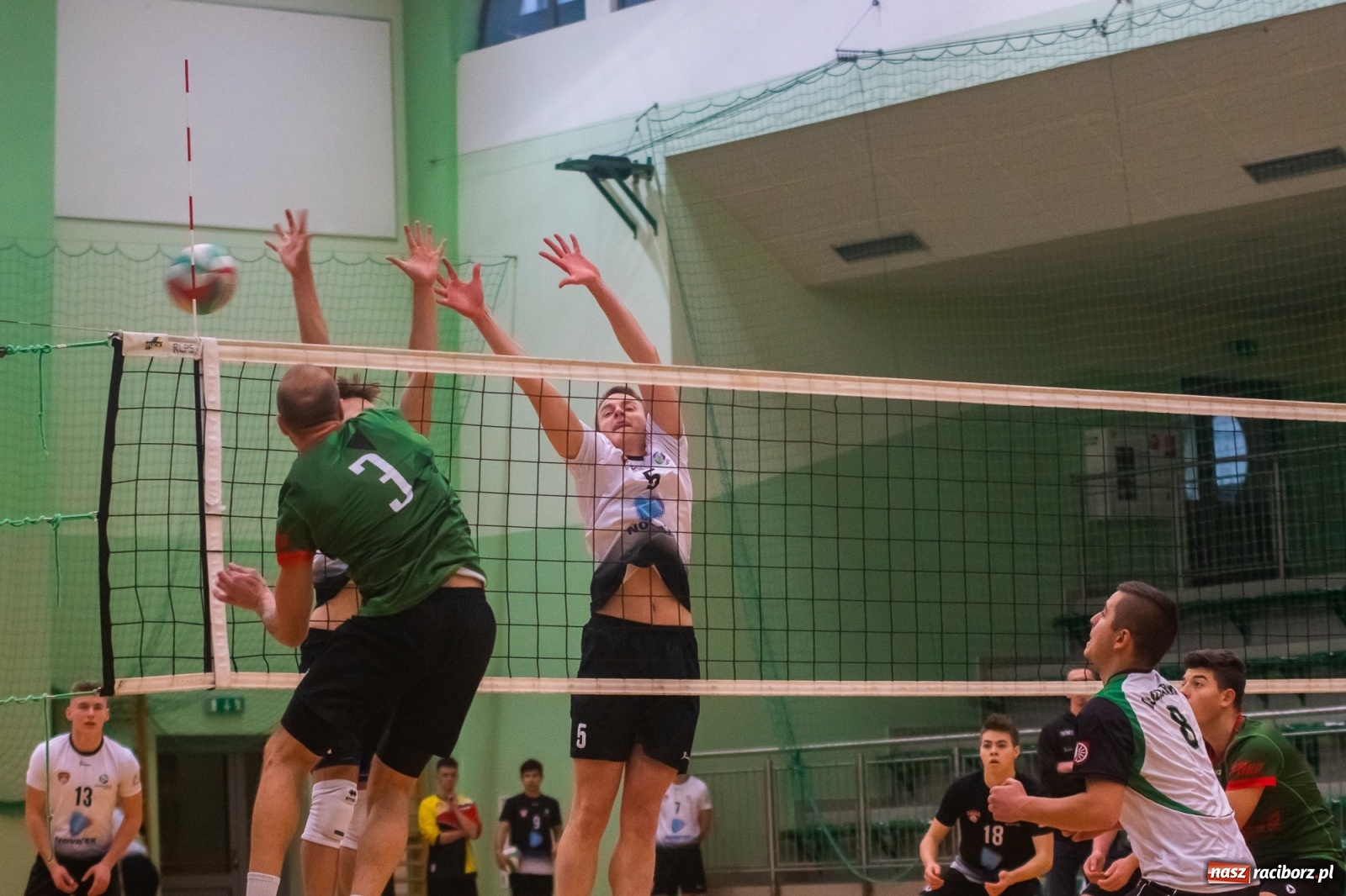Zdjęcie w galerii na portalu naszraciborz.pl: Szybkie 3:0 i do domu. Kolejne zwycięstwo siatkarzy AZS Rafako [FOTO i WIDEO] wiadomości z regionu