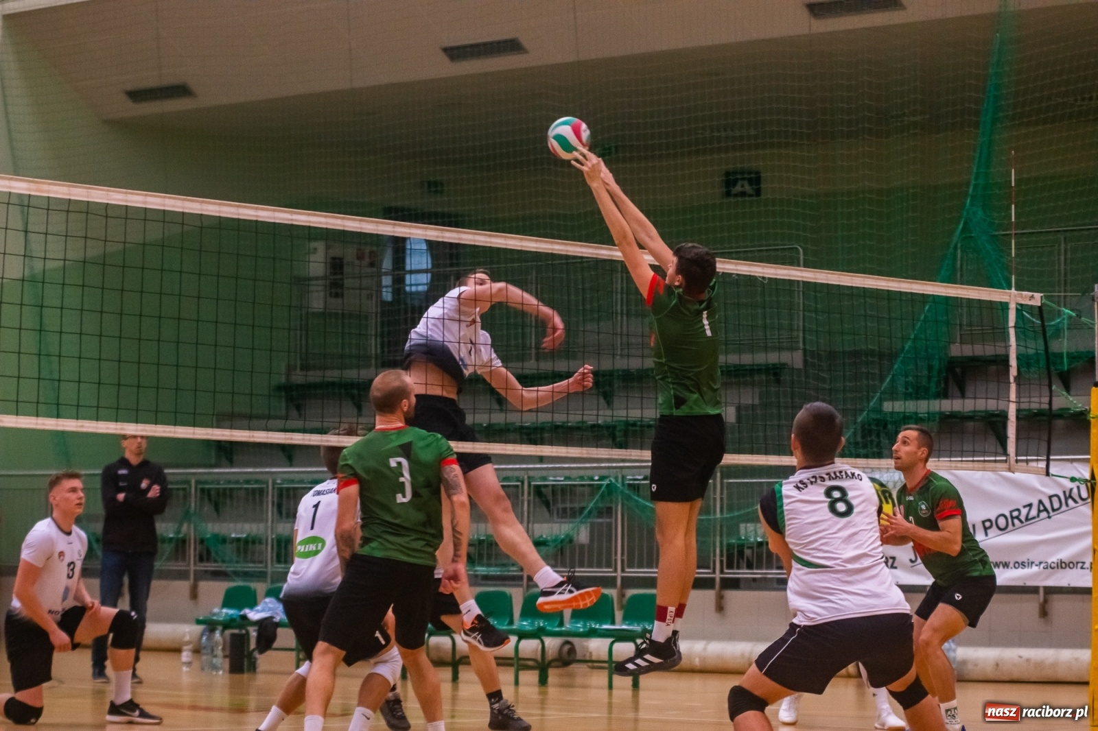Zdjęcie w galerii na portalu naszraciborz.pl: Szybkie 3:0 i do domu. Kolejne zwycięstwo siatkarzy AZS Rafako [FOTO i WIDEO] wiadomości z regionu