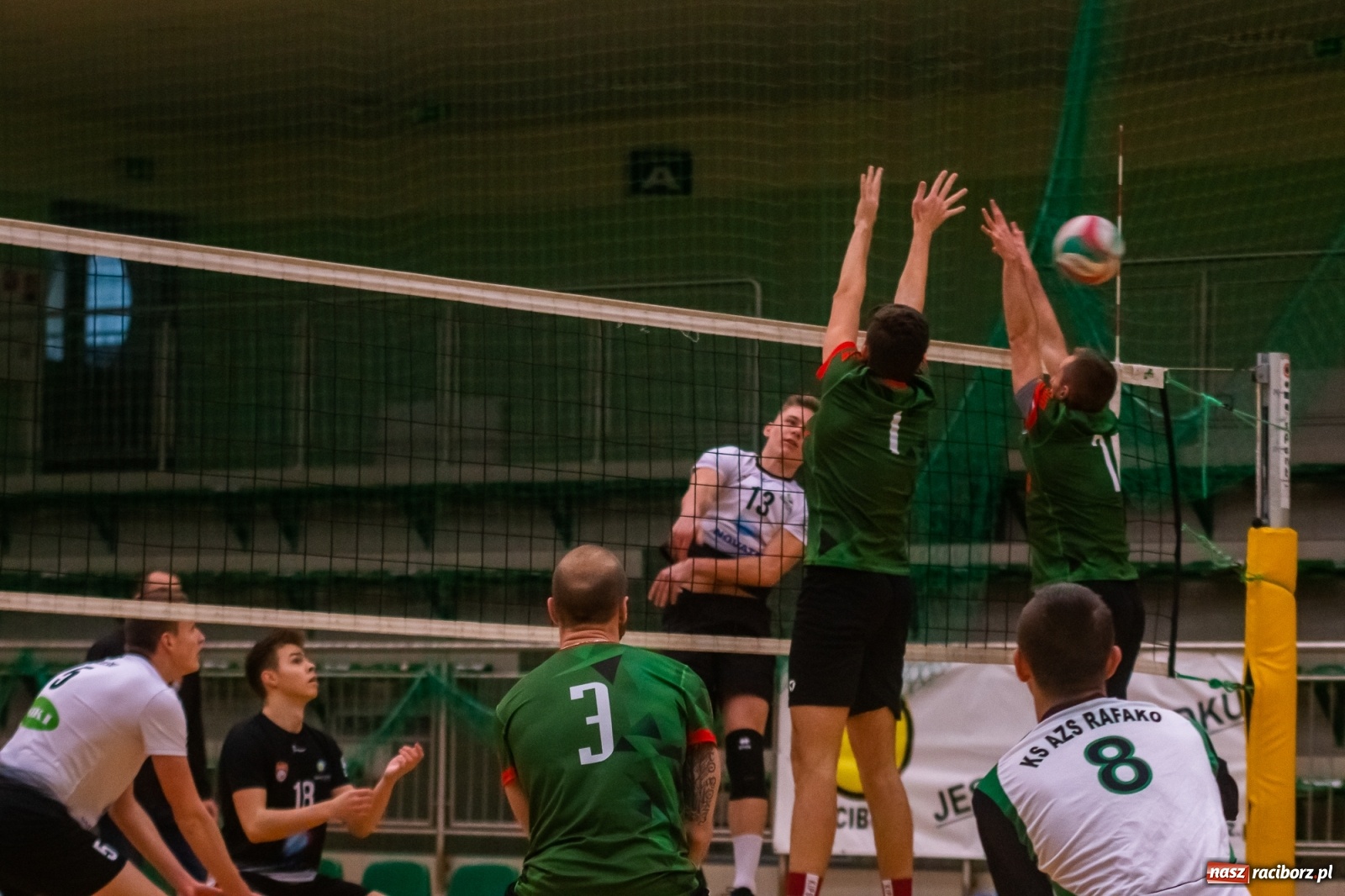 Zdjęcie w galerii na portalu naszraciborz.pl: Szybkie 3:0 i do domu. Kolejne zwycięstwo siatkarzy AZS Rafako [FOTO i WIDEO] wiadomości z regionu