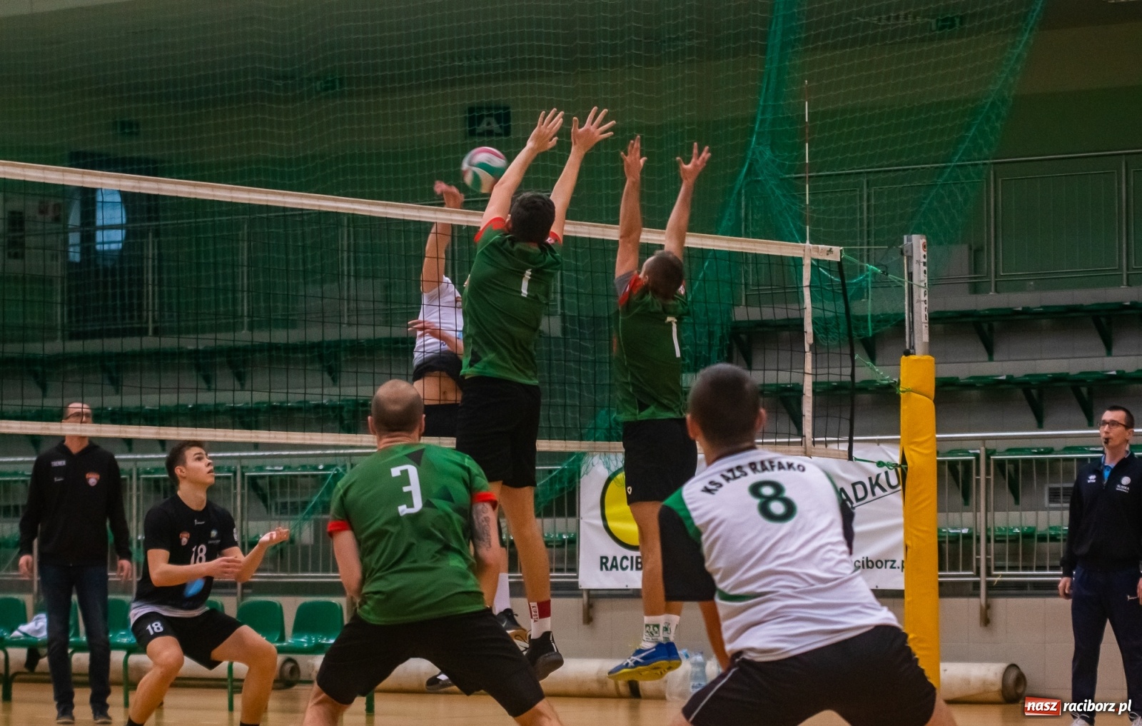 Zdjęcie w galerii na portalu naszraciborz.pl: Szybkie 3:0 i do domu. Kolejne zwycięstwo siatkarzy AZS Rafako [FOTO i WIDEO] wiadomości z regionu