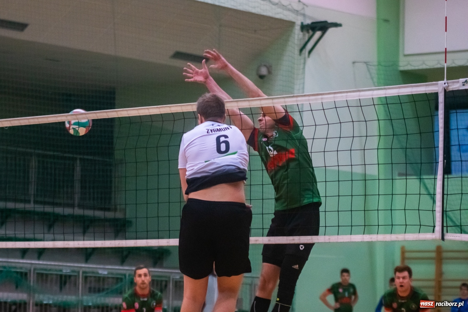 Zdjęcie w galerii na portalu naszraciborz.pl: Szybkie 3:0 i do domu. Kolejne zwycięstwo siatkarzy AZS Rafako [FOTO i WIDEO] wiadomości z regionu