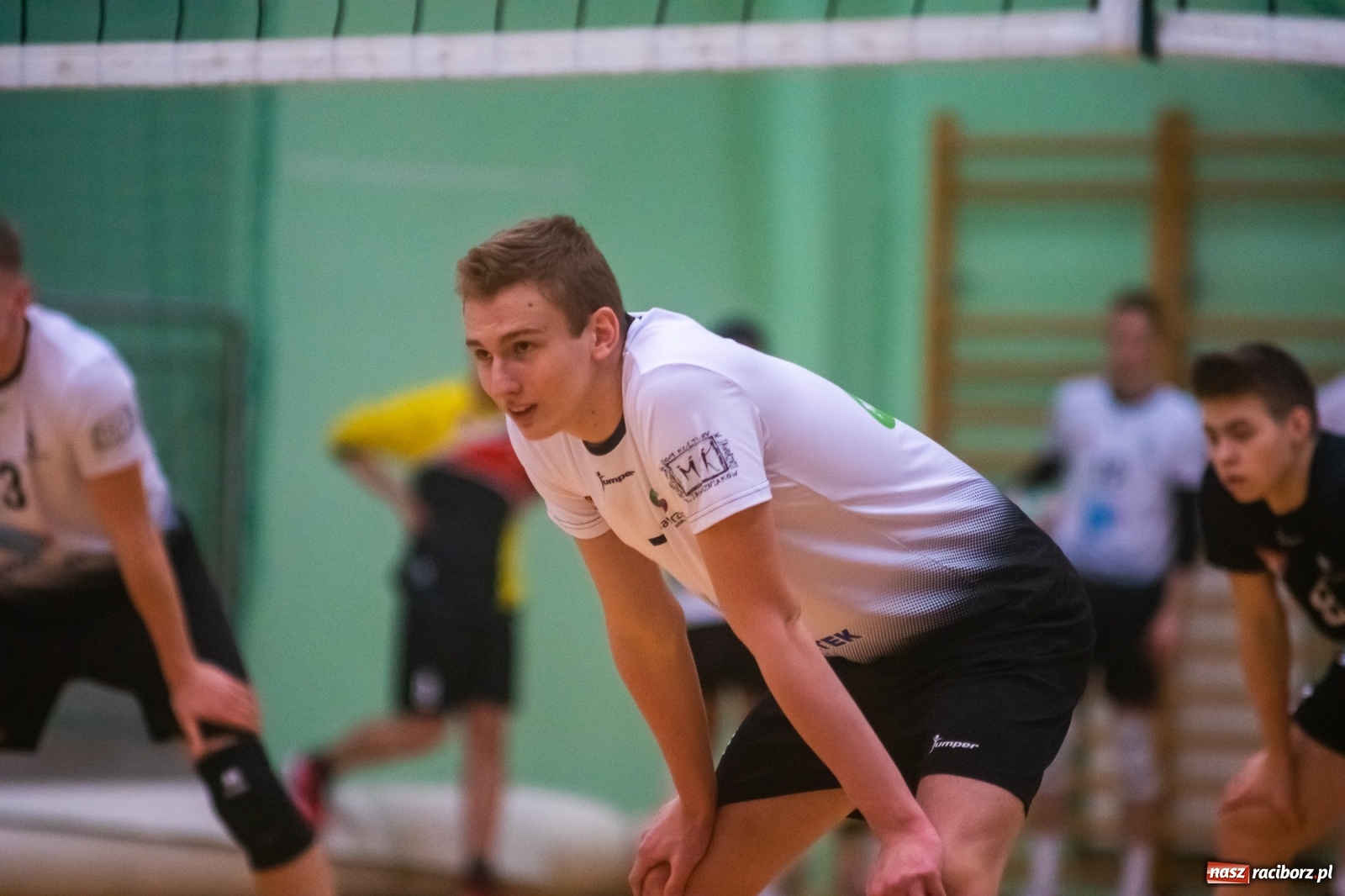 Zdjęcie w galerii na portalu naszraciborz.pl: Szybkie 3:0 i do domu. Kolejne zwycięstwo siatkarzy AZS Rafako [FOTO i WIDEO] wiadomości z regionu