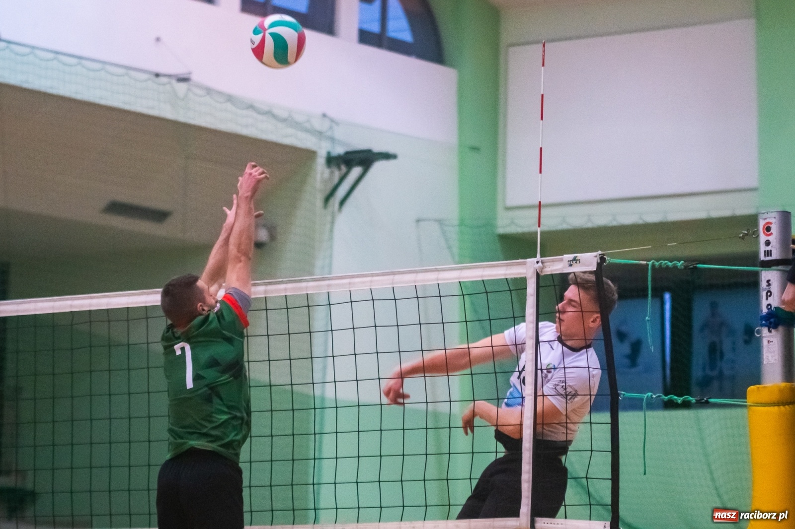 Zdjęcie w galerii na portalu naszraciborz.pl: Szybkie 3:0 i do domu. Kolejne zwycięstwo siatkarzy AZS Rafako [FOTO i WIDEO] wiadomości z regionu