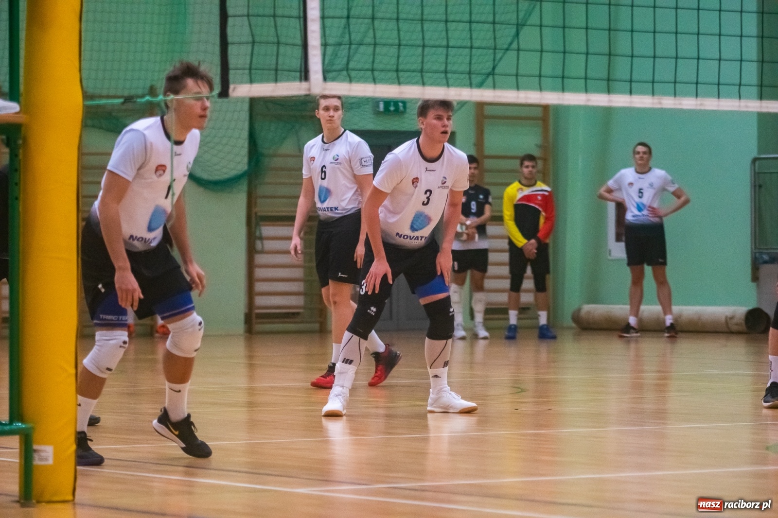 Zdjęcie w galerii na portalu naszraciborz.pl: Szybkie 3:0 i do domu. Kolejne zwycięstwo siatkarzy AZS Rafako [FOTO i WIDEO] wiadomości z regionu