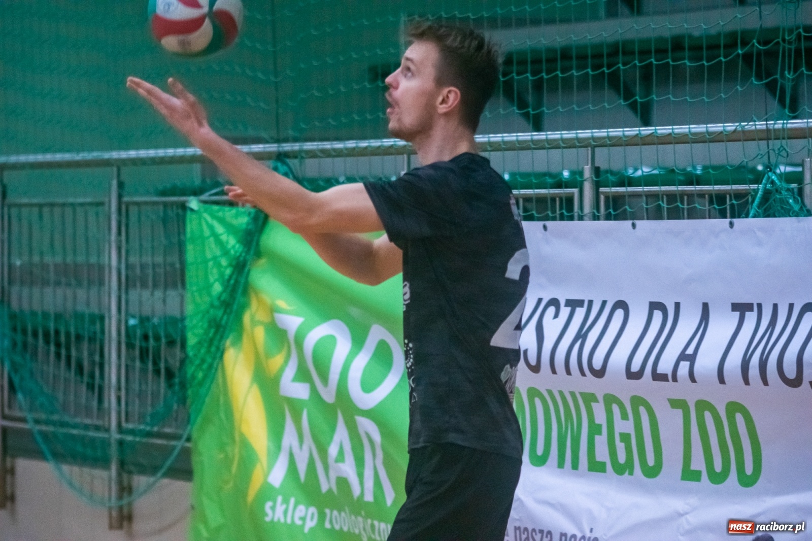 Zdjęcie w galerii na portalu naszraciborz.pl: Listopadowa niedziela z RLPS [FOTO i WIDEO] wiadomości z regionu