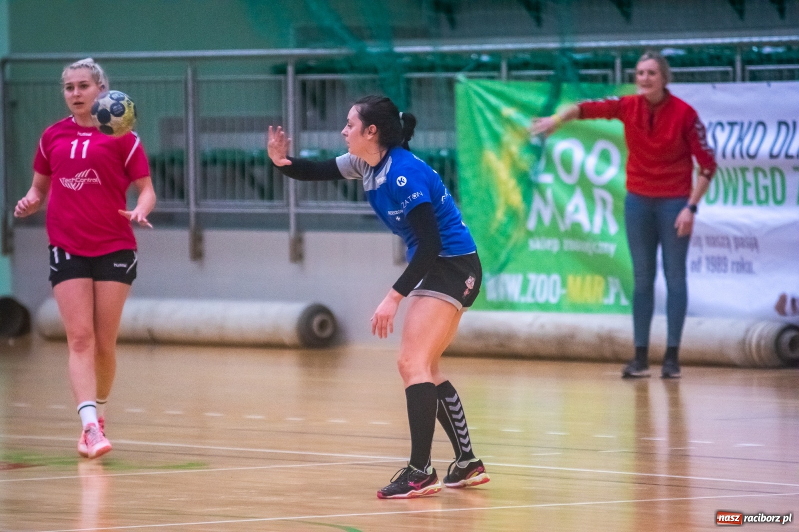 Zdjęcie w galerii na portalu naszraciborz.pl: Piłka ręczna. Kolejny horror z udziałem pietrowickiego Startu [FOTO i WIDEO] wiadomości z regionu