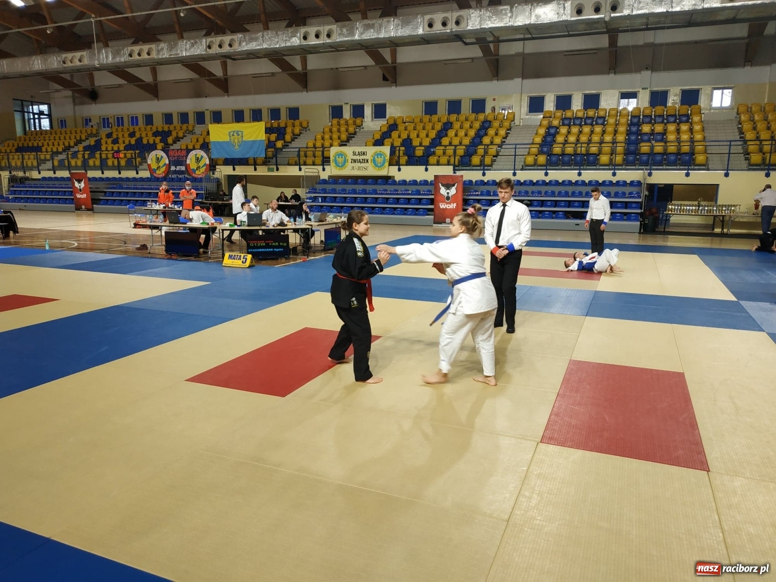 Zdjęcie w galerii na portalu naszraciborz.pl: Sparta Fight Club na mistrzostwach Śląska w Katowicach wiadomości z regionu