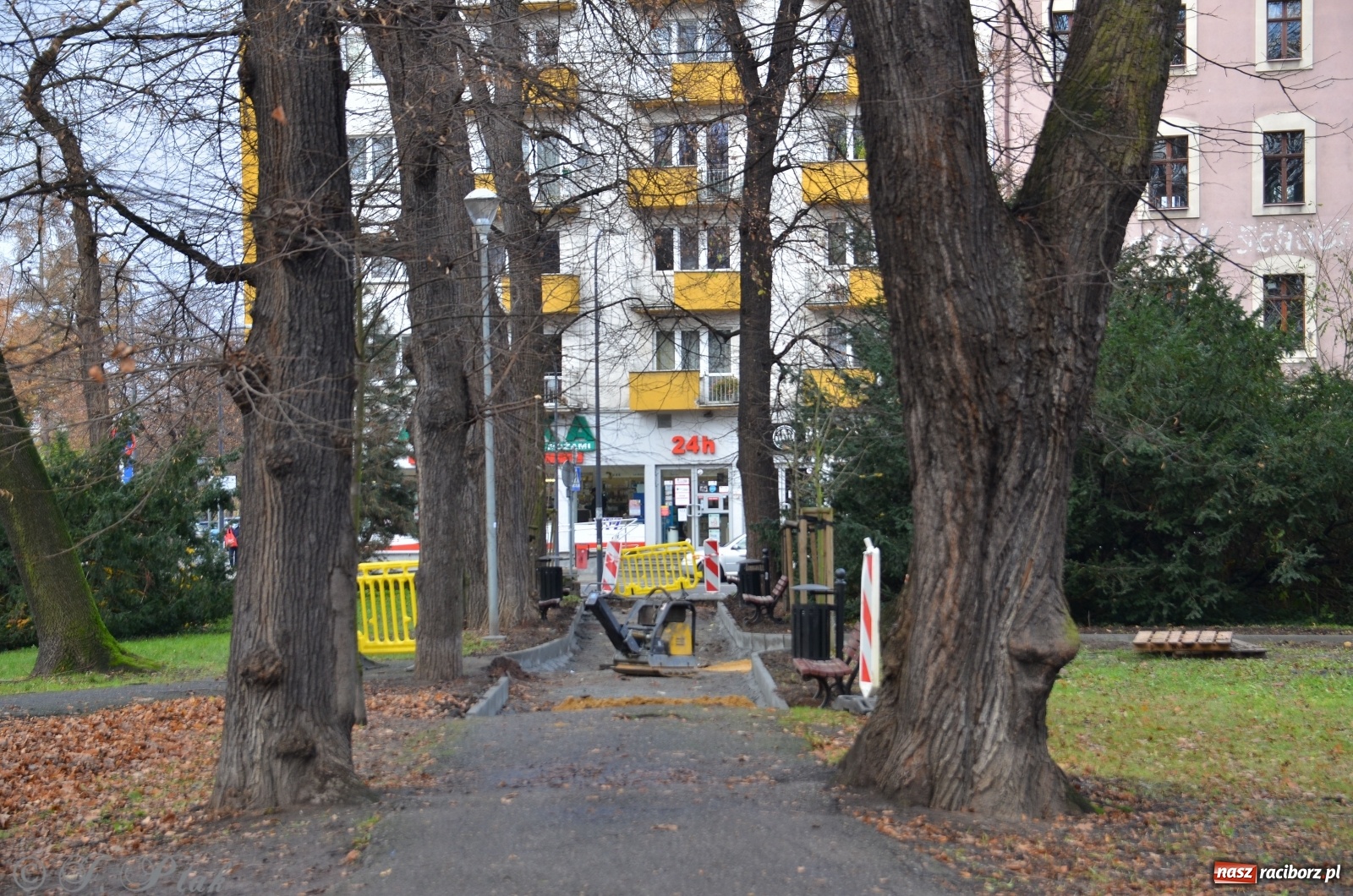 Zdjęcie w galerii na portalu naszraciborz.pl: Ruszyła modernizacja parku Roth wiadomości z regionu