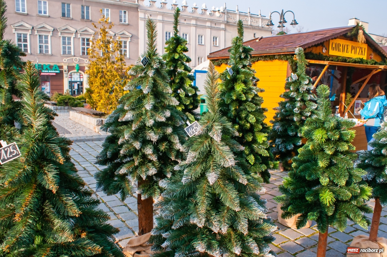 Zdjęcie w galerii na portalu naszraciborz.pl: Z wizytą na raciborskim jarmarku bożonarodzeniowym [FOTO] wiadomości z regionu
