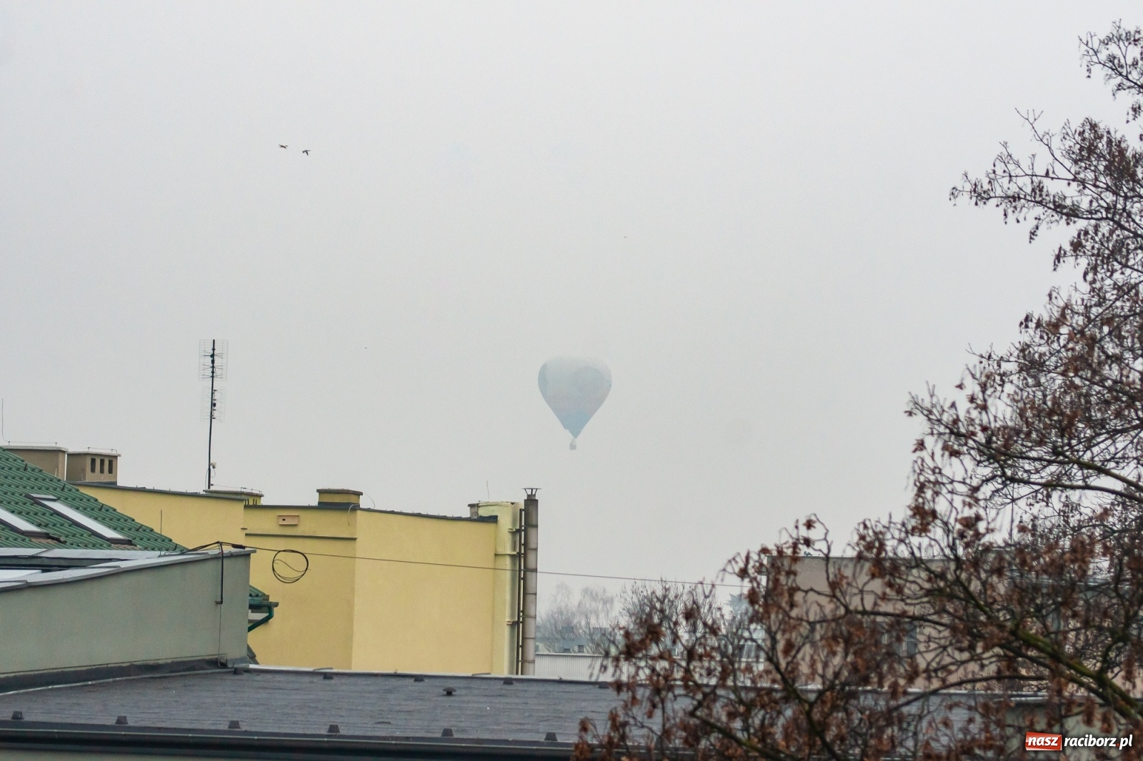 Zdjęcie w galerii na portalu naszraciborz.pl: Balony nad Raciborzem. Zobacz ich start i przelot wiadomości z regionu