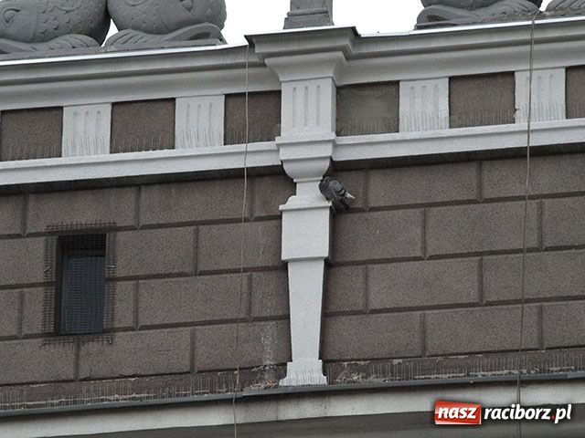 Zdjęcie w galerii na portalu naszraciborz.pl: Jak się chce, to można wiadomości z regionu