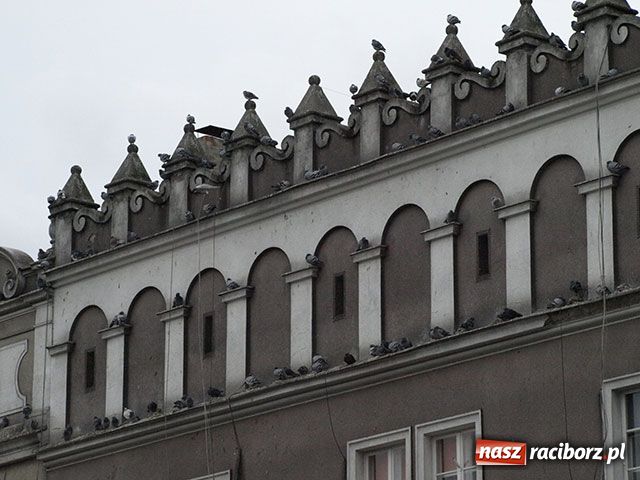 Zdjęcie w galerii na portalu naszraciborz.pl: Jak się chce, to można wiadomości z regionu