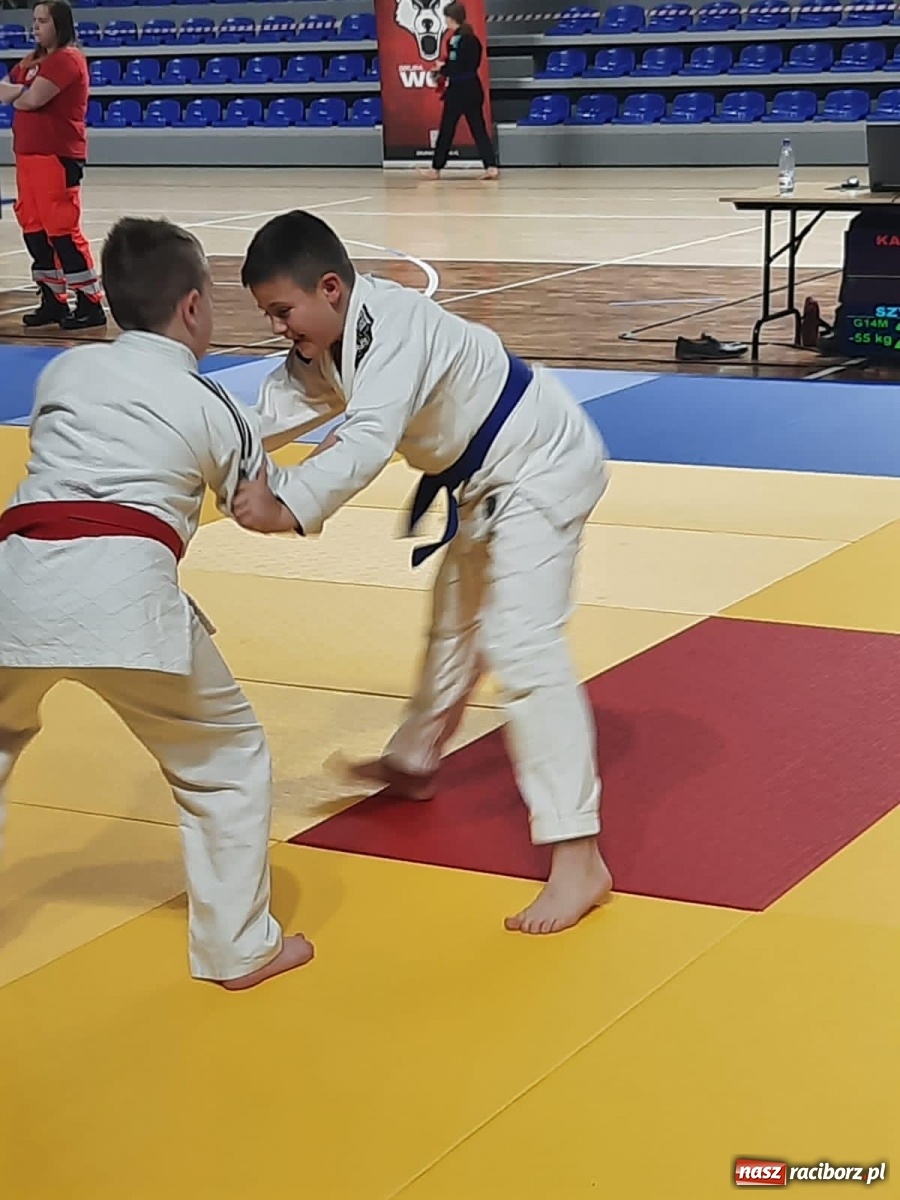 Zdjęcie w galerii na portalu naszraciborz.pl: Worek medali Łamatorów na Mistrzostwach Śląska w Ju Jitsu wiadomości z regionu