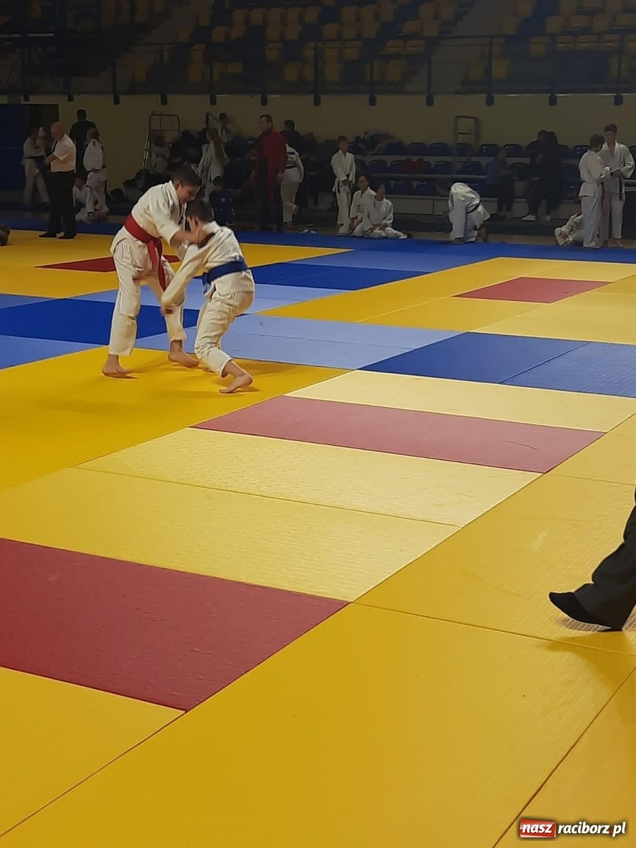 Zdjęcie w galerii na portalu naszraciborz.pl: Worek medali Łamatorów na Mistrzostwach Śląska w Ju Jitsu wiadomości z regionu