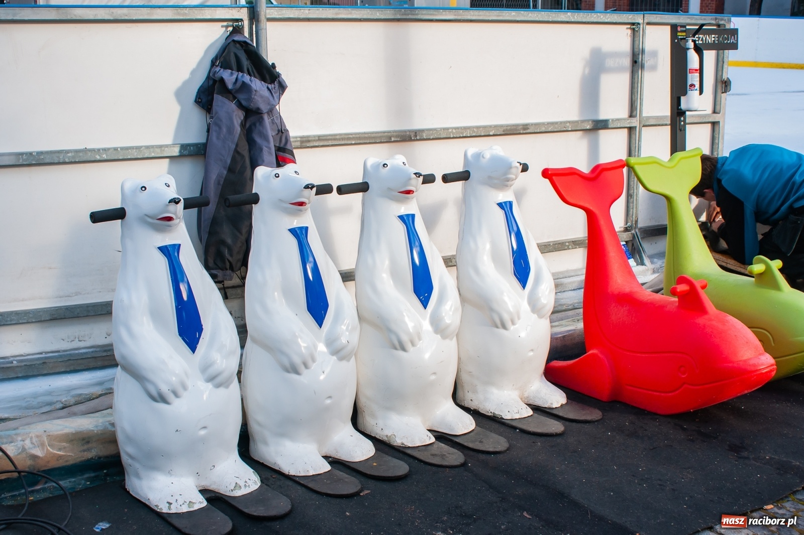 Zdjęcie w galerii na portalu naszraciborz.pl: Królewski test raciborskiego lodowiska [FOTO i WIDEO] wiadomości z regionu