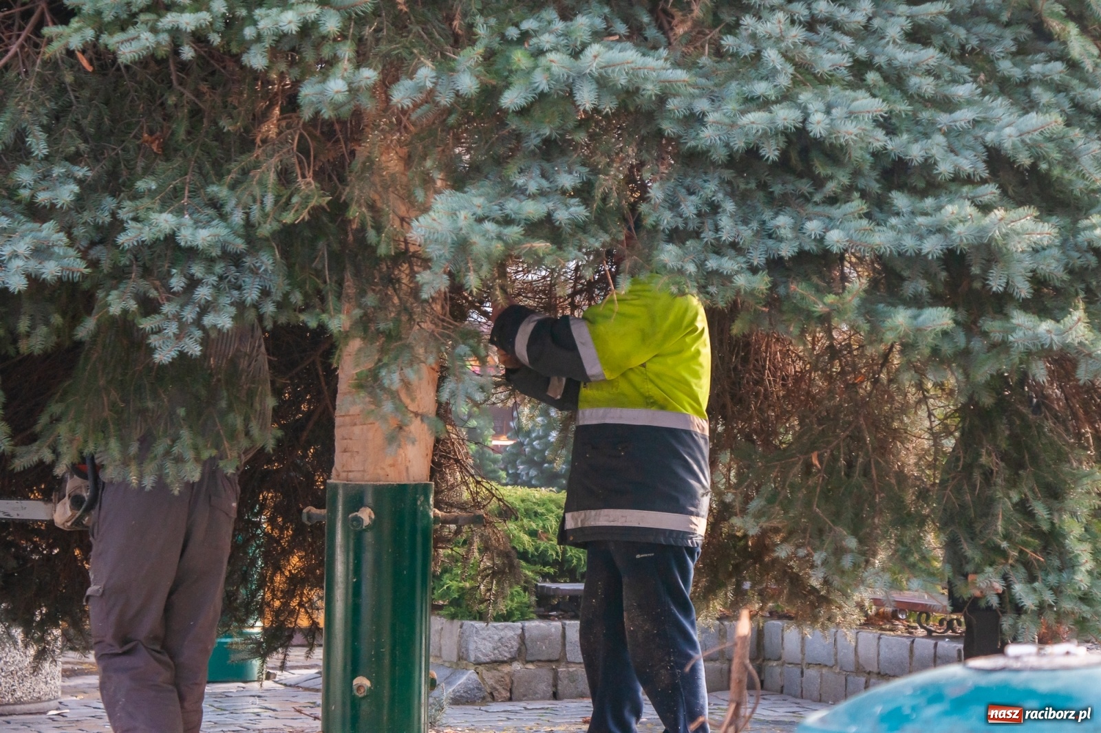 Zdjęcie w galerii na portalu naszraciborz.pl: Królewski test raciborskiego lodowiska [FOTO i WIDEO] wiadomości z regionu