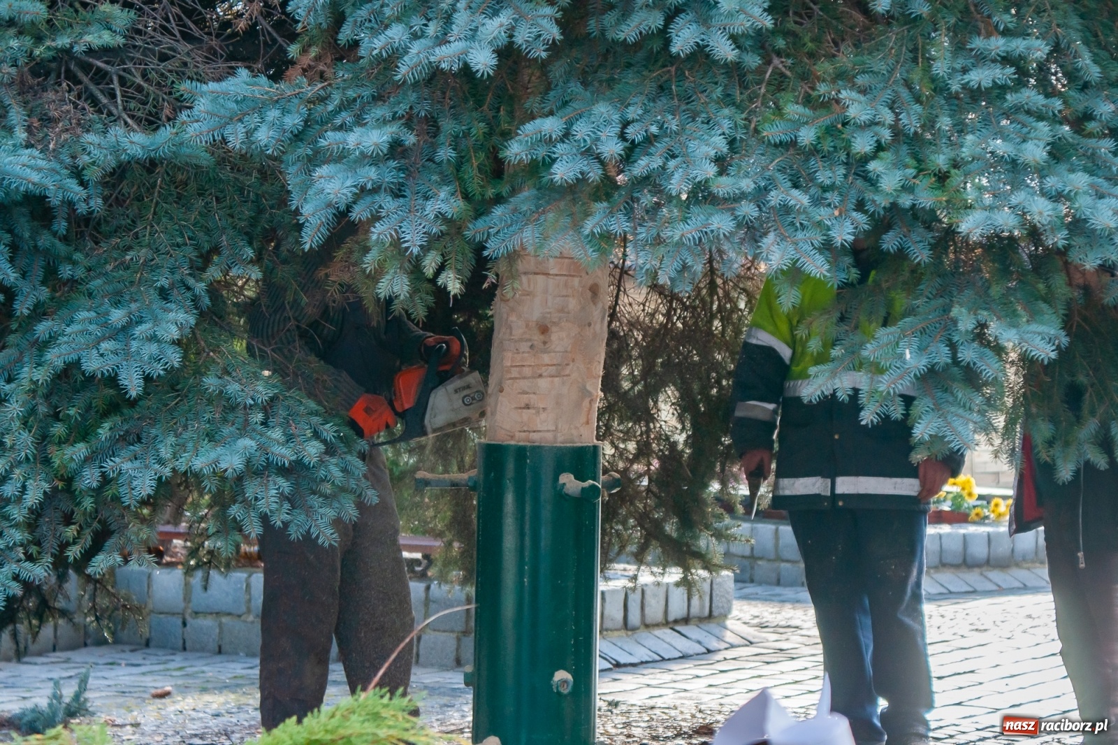 Zdjęcie w galerii na portalu naszraciborz.pl: Królewski test raciborskiego lodowiska [FOTO i WIDEO] wiadomości z regionu