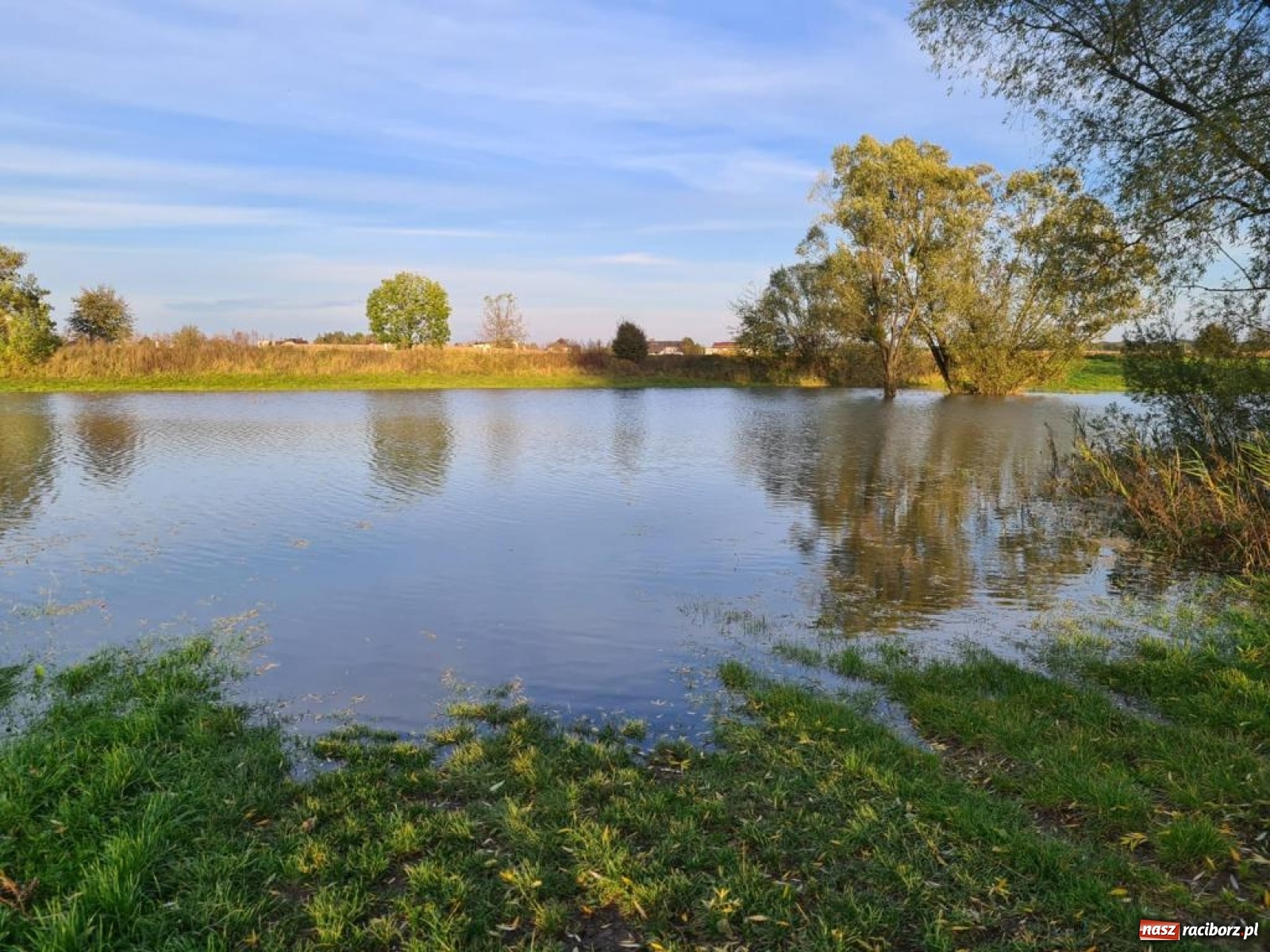 Zdjęcie w galerii na portalu naszraciborz.pl: Rekordowe zarybienie. Sprawozdanie Koła PZW nr 46 Cobex-SGL wiadomości z regionu