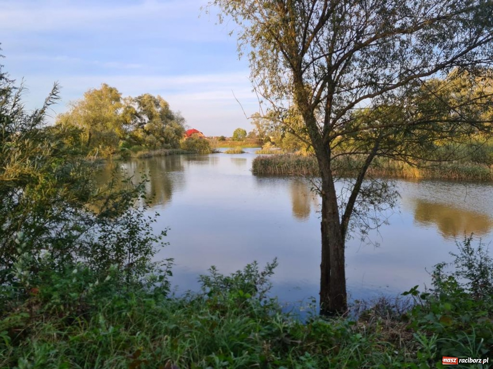 Zdjęcie w galerii na portalu naszraciborz.pl: Rekordowe zarybienie. Sprawozdanie Koła PZW nr 46 Cobex-SGL wiadomości z regionu