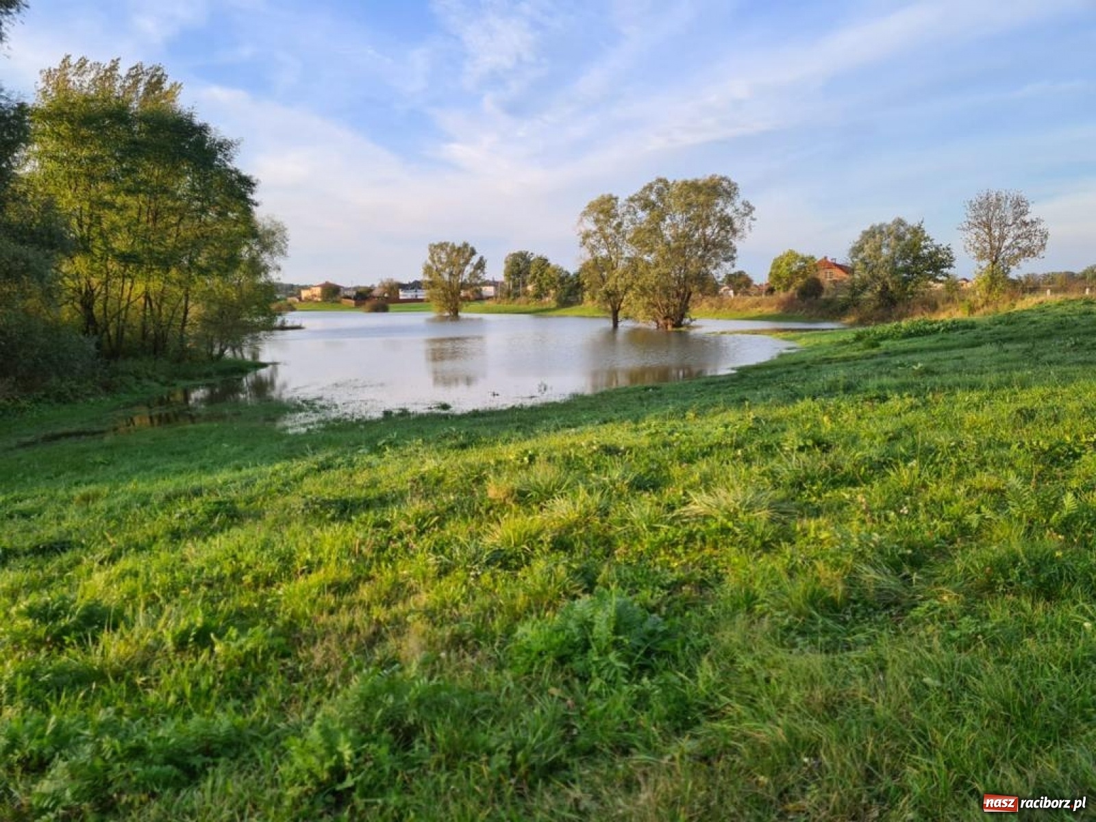 Zdjęcie w galerii na portalu naszraciborz.pl: Rekordowe zarybienie. Sprawozdanie Koła PZW nr 46 Cobex-SGL wiadomości z regionu