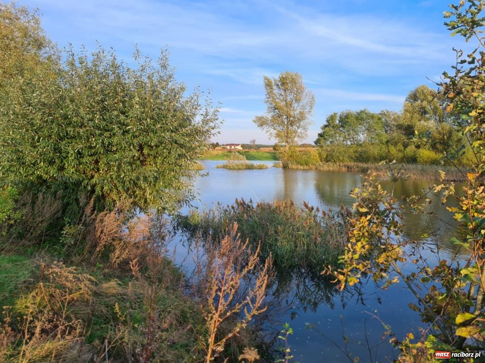 Zdjęcie w galerii na portalu naszraciborz.pl: Rekordowe zarybienie. Sprawozdanie Koła PZW nr 46 Cobex-SGL wiadomości z regionu