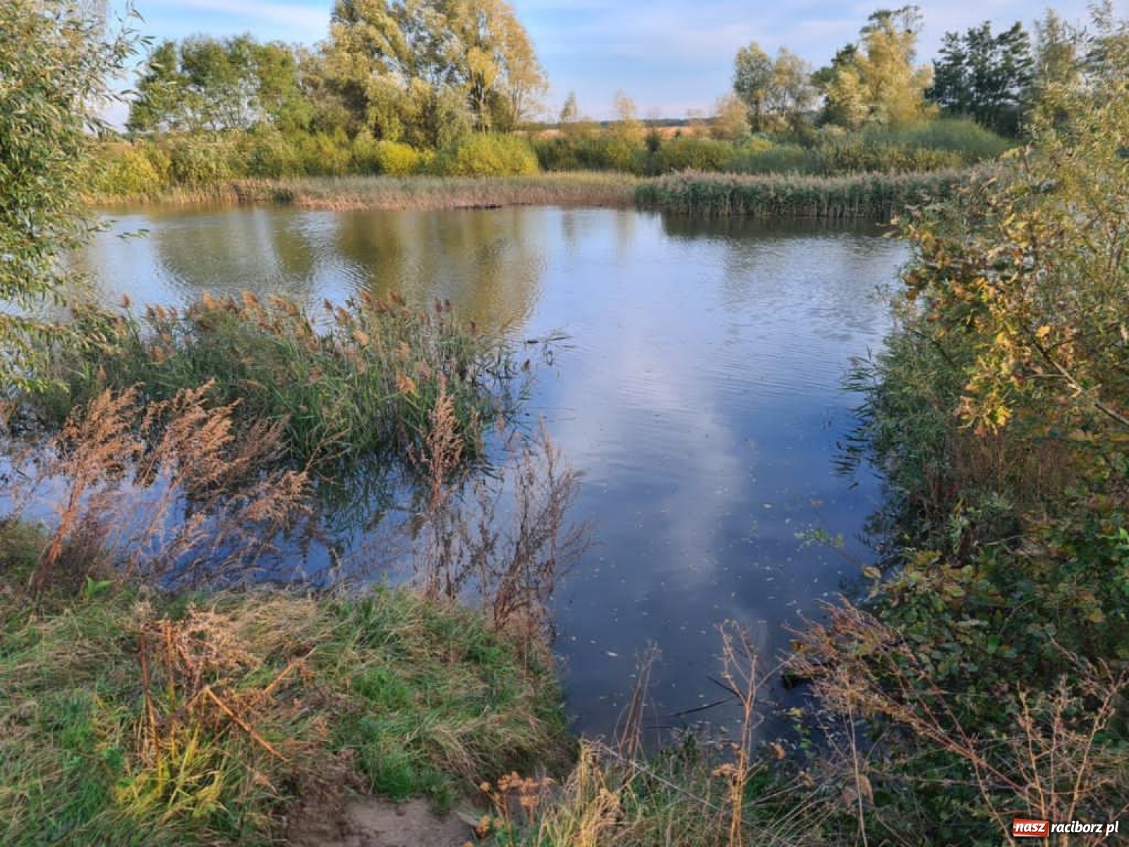 Zdjęcie w galerii na portalu naszraciborz.pl: Rekordowe zarybienie. Sprawozdanie Koła PZW nr 46 Cobex-SGL wiadomości z regionu