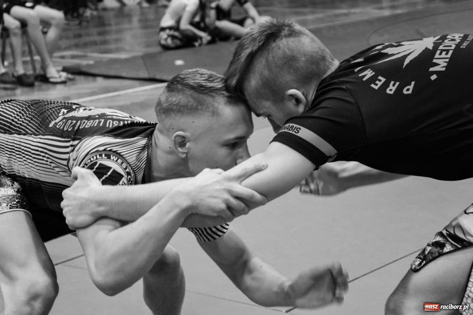 Zdjęcie w galerii na portalu naszraciborz.pl: Dobry występ Spartan na turnieju w Krapkowicach wiadomości z regionu